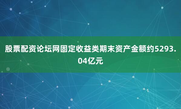 股票配资论坛网固定收益类期末资产金额约5293.04亿元
