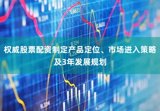 权威股票配资制定产品定位、市场进入策略及3年发展规划