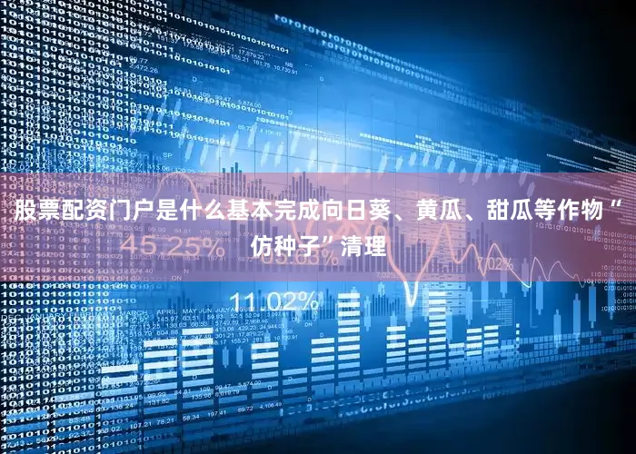 股票配资门户是什么基本完成向日葵、黄瓜、甜瓜等作物“仿种子”清理